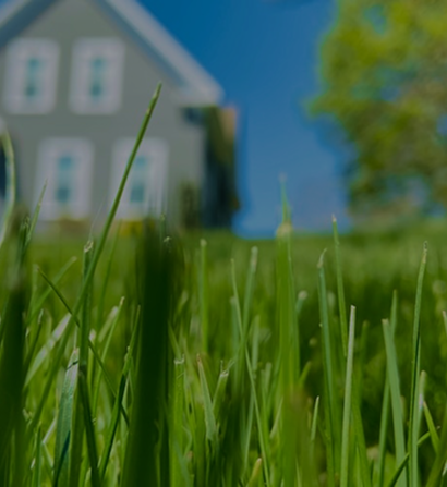 Land and property